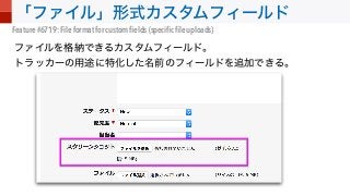 Feature #6719: File format for custom ﬁelds (speciﬁc ﬁle uploads)
 
 