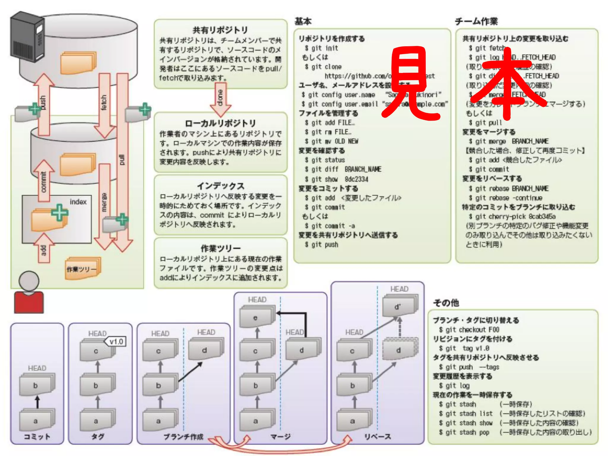 チーとシート 見本 