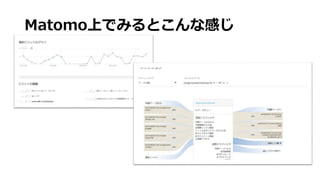 Matomo上でみるとこんな感じ
 