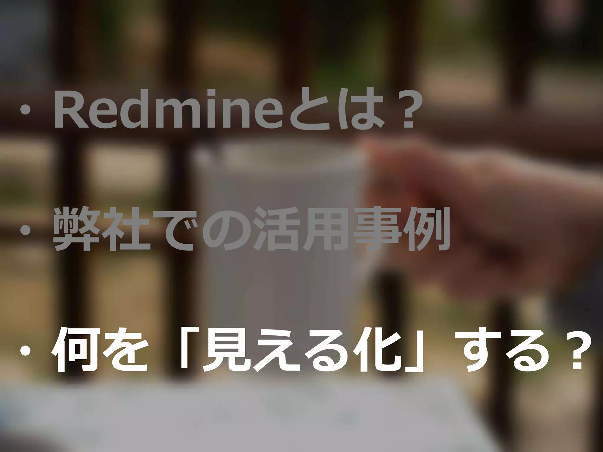 ・Redmineとは？
・弊社での活用事例
・何を「見える化」する？
 