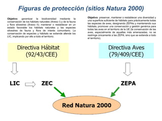 Figuras de protección (sitios Natura 2000) Objetivo : preservar, mantener o restablecer una diversidad y una superficie suficiente de hábitats para prácticamente todas las especies de aves, designando ZEPAs y manteniendo sus hábitats; promover una conservación y gestión genérica para todas las aves en el territorio de la UE (la conservación de las aves, especialmente de aquellas más amenazadas, no se restringe únicamente a las ZEPA, sino que se extiende a todo el territorio).  Objetivo : garantizar la biodiversidad mediante la conservación de los hábitats naturales (Anexo I) y de la fauna y flora silvestres (Anexo II); mantener o restablecer en un estado favorable los hábitats naturales y las especies silvestres de fauna y flora de interés comunitario. La conservación de especies y hábitats se extiende allende los LIC, implicando por ello a todo el territorio.  