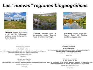 Panónica : estepas de Hungría y el sur de Eslovaquia; praderas secas de la cuenca de los Cárpatos.  Las “nuevas” regiones biogeográficas  Estépica:  llanuras bajas y pantanosas desde Bucarest hasta el norte del Mar Negro. Mar Negro : oeste y sur del Mar Negro, Delta del Danubio (pantanos, lagos e islas). 