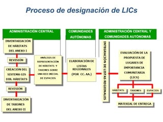 Proceso de designación de LICs 