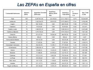 Las ZEPAs en España en cifras 