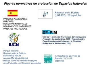 Figuras normativas de protección de Espacios Naturales PARQUES NACIONALES PARQUES RESERVAS NATURALES  MONUMENTOS NATURALES PAISAJES PROTEGIDOS Parque Nacional  Reserva Natural Estricta Monumento Natural Área de Manejo de Hábitat Paisaje Terrestre o Marino Protegido Área Protegida con Recursos Manejados humedales del  Convenio de  Ramsar (1971): 63 españoles Reservas de la Biosfera (UNESCO): 26 españolas  9 de las 14 existentes ( Convenio de Barcelona para la Protección del Mediterráneo , 1976 y  Protocolo sobre Zonas Especialmente Protegidas y la Diversidad Biológica en el Mediterráneo,  1995) 