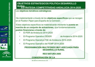 OBJETIVOS ESTRATEGICOS POLITICA DESARROLLO 
RURAL
ESTRATEGIA COMPETITIVIDAD ANDALUCIA 2014-2020
Los objetivos temáticos estratégicos:
-Se implementarán a través de los objetivos específicos que se recogen
en el Position Paper para España de la Comisión.
-Estos objetivos específicos se materializarán mediante la puesta en 
marcha de un conjunto de actuaciones, que fundamentalmente
podrán financiarse a través de:
• El PDR de Andalucía 2014-2020
• El Programa Operativo FEDER de Andalucía 2014-2020
• El Programa Operativo FSE de Andalucía 2014-2020
• El Programa Operativo del FEMP 2014-2020
PROGRAMACION MULTIFONDO MUY ADECUADA PARA
DESARROLLO RURAL
RED NATURA 2000 
CONSERVACIÓN DE LA 
BIODIVERSIDAD
 