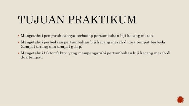 Ppt Pengamatan Pertumbuhan Kacang Merah