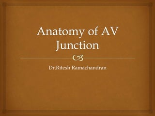 Dr.Ritesh Ramachandran
 