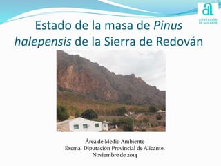 Estado de la masa de Pinus 
halepensis de la Sierra de Redován 
Área de Medio Ambiente 
Excma. Diputación Provincial de Alicante. 
Noviembre de 2014 
 
