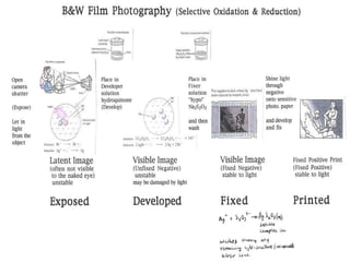 B&W Film Photography 