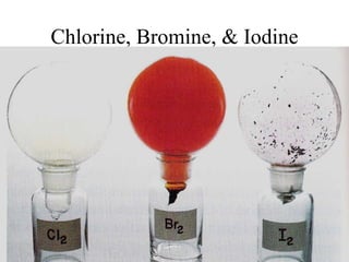 Chlorine, Bromine, & Iodine 