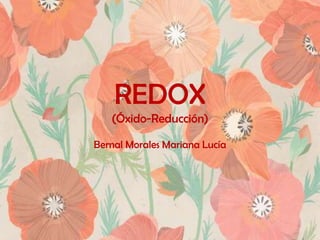 REDOX
(Óxido-Reducción)
Bernal Morales Mariana Lucía

 