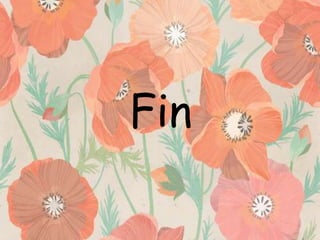 Fin

 
