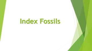 Index Fossils
 