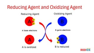 Redox Reaction (Reduction and Oxidation Reaction) | PDF