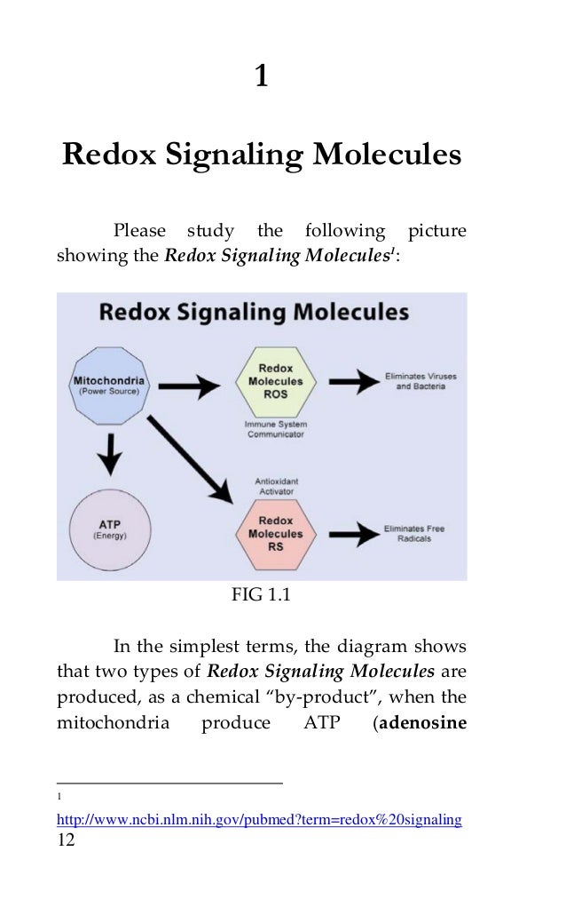 What do redox signaling molecules do?