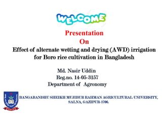 BANGABANDHU SHEIKH MUJIBUR RAHMAN AGRICULTURAL UNIVERSITY,
SALNA, GAZIPUR-1706.
Presentation
On
Effect of alternate wetting and drying (AWD) irrigation
for Boro rice cultivation in Bangladesh
Md. Nasir Uddin
Reg.no. 14-05-3157
Department of Agronomy
 