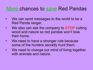 Red panda | PPT