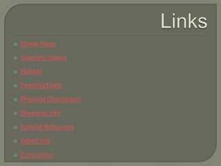    Home Page

   Scientific Name

   Habitat

   Feeding/Diets

   Physical Description

   Breeding Info

   Special Behaviors

   Weird Info

   Conclusion
 