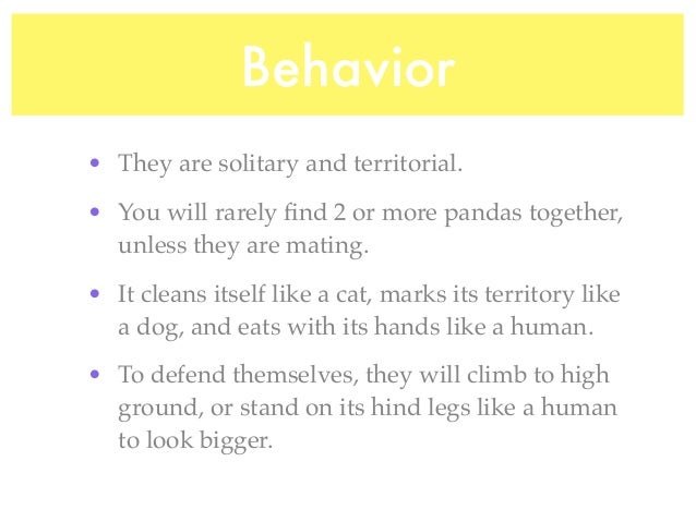 Dog That Cleans Itself Like A Cat Dog That Cleans Itself Like A Cat
