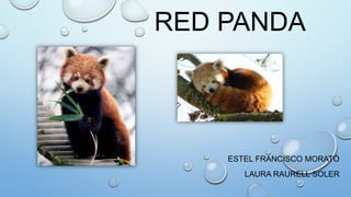 Red panda | PPTX