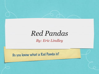 Do you know what a Red Panda is?
Red Pandas
By: Eric Lindley
 