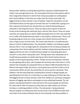because their habitats are being destroyed that is because of deforestation for
timber, fuel, and agricultural use. The red pandas that live on the western side of
their range almost became in extinct that is because people are cutting down
their forest habitats so that they can make room for houses and roads. The
biggest threat to these animals is loss of habitat. Today the red panda is on the
IUCH Red list these are the types of animals that are in trouble that is going on in
their national environment are animals that are really threatened because
extinction is harming their future. There are about seven species of that are
known to be threating with extinction that is due for their future. There are some
scientists are saying there are about 3,000 red pandas that are still in the wild that
are in really small protected areas which is also called as national park. There a lot
breeding programs that are in Asia, Europe and in North America and they all
have a huge success on their work. The reason why they are in trouble because
they are victims of deforestation. The red panda’s habitat is not looking so good
because there is not a enough space for red pandas to live on because people are
cutting down their forest habitats and their habitats will get destroyed because of
logging and they are also in trouble because people are spreading agriculture
around in a area where red pandas roam. The big reason why red pandas are in
trouble because people are totally clearing out their forests homes because
people are farming and grazing on them. People are also hunting them and they
are also getting sold as pets. Lots of people do not know how much there is in the
wild but lots of people are saying that there are about 2,500 red pandas that are
lifted on the planet today. But there is some good news and that is there a lot of
conservation efforts all over the world that are set to save the red panda. Their
habitat is not the only thing that is putting these animals in danger people are
also killing them for their fur so that they can make clothing out of them like hats.
The biggest threats to these animals is that their habitats are starting to disappear
because of logging, agriculture and people are also collecting firewood. The red
panda is also being hunted for meat and for fur the reason people are kill them
for meat and for their fur because so that they can make clothes out of them.
Hunting is a really big problem in China. The red panda is being protected
because people are making laws that can be found in lots of different states that
are known to be really protected areas for the red panda, but these problem is
 