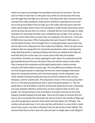 marks are used as camouflage from predators that want to eat them. The red
color on them it looks like it is the color moss which can be found on the trees
even through they live high up in the trees. The black color that is found on their
stomach this makes predators really hard to find them especially the ones that
are on the ground.When they are high up in the really cold mountains with the
really cold climates which means the red panda is made to keep themselves warm
and to do they will use their fur to form a blanket like tail. Even through on really
cold days the red panda has been seen sunbathing way up high in the canopy so
they can warm themselves up when they are sleeping in the day time. In the year
of 2001 there have been 79% of red pandas that were found in 100 meters in
nearest body of water. Even through that is a really good water source that may
also be able to be really great for their really strict habitats. There has been some
evidence that are saying that the red panda reproduction rates is starting to be
really declining which is starting to believe that they are related to the types of
food that they eat so that they can survive and so that they have babies
successfully. Scientists are always arguing for years about the red panda and the
giant panda because they do not know if they are activity relate to each other.
That is because the red panda and the giant panda share a really common
ancestor that lived millions of years ago. The only differences between the two
are that the giant panda is really big and there are some biologists that wrote
about the red panda and they call it the lesser panda. So the red panda is not
really related to the giant panda but they are activity related to the raccoon,
kinkajous, and the coatimundis. The red panda is more in the raccoon group then
the it is in the bear group because that is where the giant panda is in. The red
panda faces a lot of predators and the animals that would love to eat a red panda
are snow leopards, Martens and humans are the creatures that can kill a red
panda. The red panda faces a lot of predators and those animals are the snow
leopard, clouded leopard and wild dogs. These are the types of animals that will
love to eat a red panda.The red panda will start to mate in the mouths of May and
July after the gestation period is done which will take about 112-158 days. The
mother will normally have 1 to 4 cubs and they will be born in a nest that is made
out of moss, leaves, and other soft plants that can be found on their habitat. The
moment that they are born than the cubs will start to weigh about 110-130 g(3.9-
 