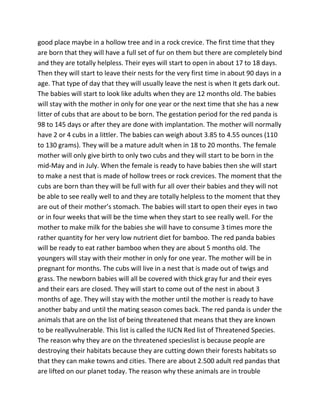 good place maybe in a hollow tree and in a rock crevice. The first time that they
are born that they will have a full set of fur on them but there are completely bind
and they are totally helpless. Their eyes will start to open in about 17 to 18 days.
Then they will start to leave their nests for the very first time in about 90 days in a
age. That type of day that they will usually leave the nest is when It gets dark out.
The babies will start to look like adults when they are 12 months old. The babies
will stay with the mother in only for one year or the next time that she has a new
litter of cubs that are about to be born. The gestation period for the red panda is
98 to 145 days or after they are done with implantation. The mother will normally
have 2 or 4 cubs in a littler. The babies can weigh about 3.85 to 4.55 ounces (110
to 130 grams). They will be a mature adult when in 18 to 20 months. The female
mother will only give birth to only two cubs and they will start to be born in the
mid-May and in July. When the female is ready to have babies then she will start
to make a nest that is made of hollow trees or rock crevices. The moment that the
cubs are born than they will be full with fur all over their babies and they will not
be able to see really well to and they are totally helpless to the moment that they
are out of their mother’s stomach. The babies will start to open their eyes in two
or in four weeks that will be the time when they start to see really well. For the
mother to make milk for the babies she will have to consume 3 times more the
rather quantity for her very low nutrient diet for bamboo. The red panda babies
will be ready to eat rather bamboo when they are about 5 months old. The
youngers will stay with their mother in only for one year. The mother will be in
pregnant for months. The cubs will live in a nest that is made out of twigs and
grass. The newborn babies will all be covered with thick gray fur and their eyes
and their ears are closed. They will start to come out of the nest in about 3
months of age. They will stay with the mother until the mother is ready to have
another baby and until the mating season comes back. The red panda is under the
animals that are on the list of being threatened that means that they are known
to be reallyvulnerable. This list is called the IUCN Red list of Threatened Species.
The reason why they are on the threatened specieslist is because people are
destroying their habitats because they are cutting down their forests habitats so
that they can make towns and cities. There are about 2.500 adult red pandas that
are lifted on our planet today. The reason why these animals are in trouble
 
