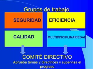 Grupos de trabajo
SEGURIDAD EFICIENCIA
CALIDAD MULTIDISCIPLINARIEDAD
COMITÉ DIRECTIVO
Aprueba temas y directrices y supervisa el
progreso
 