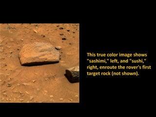 This true color image shows
"sashimi," left, and "sushi,"
right, enroute the rover's first
target rock (not shown).
 