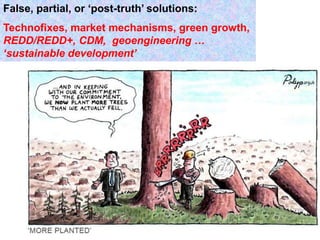 False, partial, or ‘post-truth’ solutions:
Technofixes, market mechanisms, green growth,
REDD/REDD+, CDM, geoengineering …...
