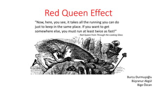 Red Queen Effect
Burcu Durmuşoğlu
Büşranur Akgül
Bige Özcan
 