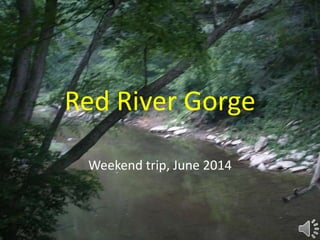 Red River Gorge
Weekend trip, June 2014
 