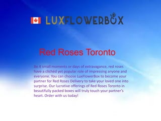 Red Roses Toronto
Be it small moments or days of extravagance, red roses
have a clichéd yet popular role of impressing anyone and
everyone. You can choose LuxFlowerBox to become your
partner for Red Roses Delivery to take your loved one into
surprise. Our lucrative offerings of Red Roses Toronto in
beautifully packed boxes will truly touch your partner’s
heart. Order with us today!
 