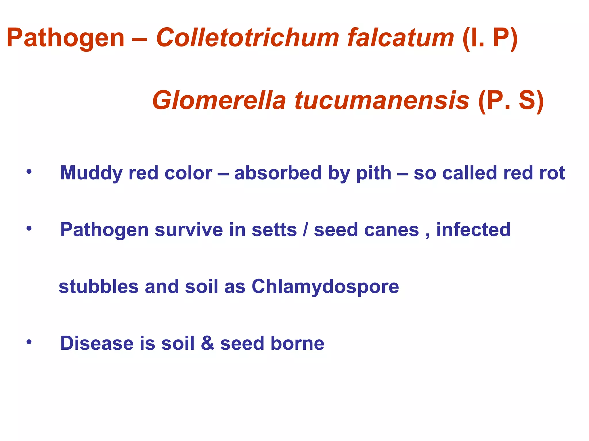 Pathogen – Colletotrichum falcatum (I. P)
Glomerella tucumanensis (P. S)
• Muddy red color – absorbed by pith – so called red rot
• Pathogen survive in setts / seed canes , infected
stubbles and soil as Chlamydospore
• Disease is soil & seed borne