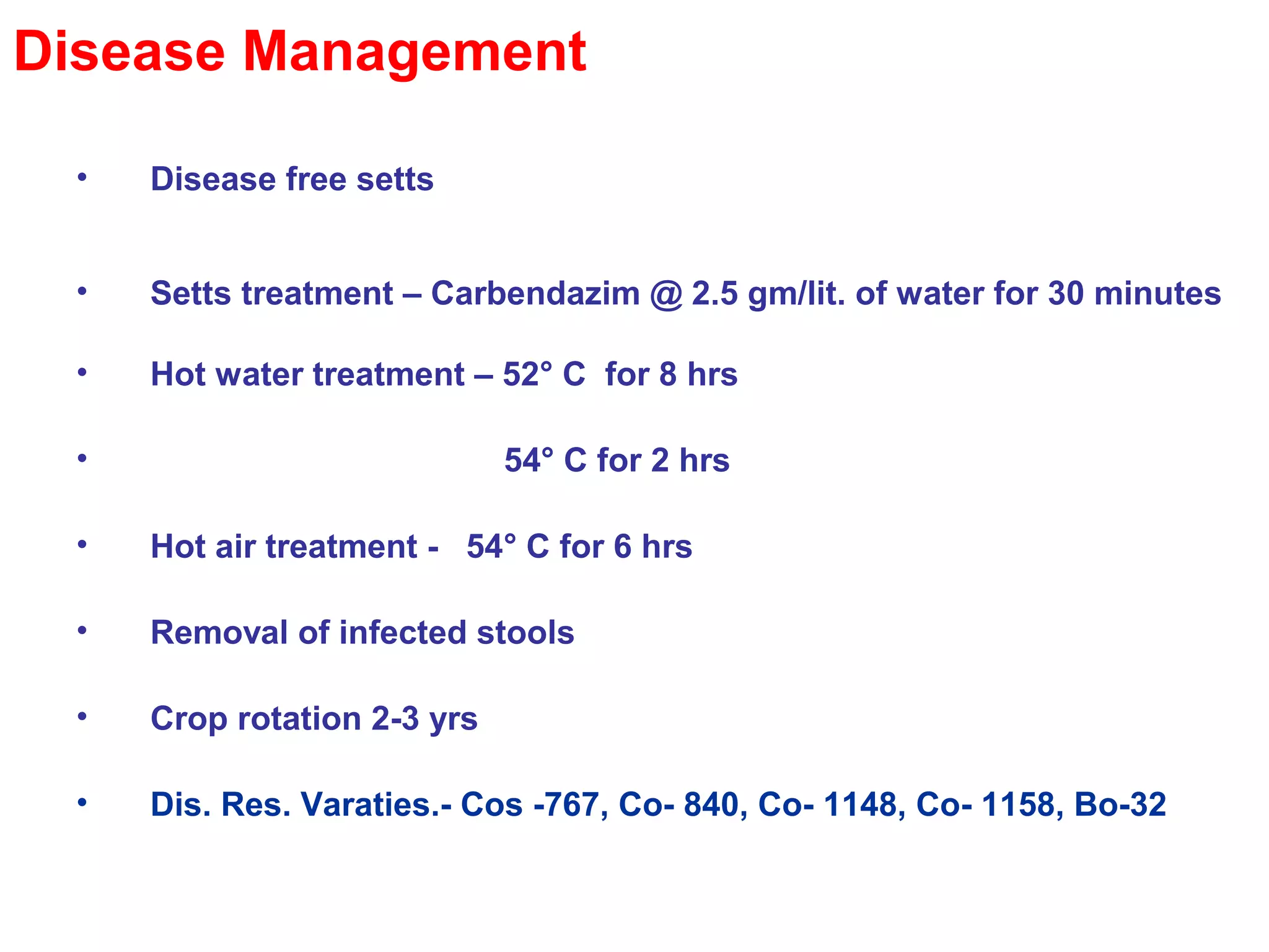 Disease Management
• Disease free setts
• Setts treatment – Carbendazim @ 2.5 gm/lit. of water for 30 minutes
• Hot water treatment – 52° C for 8 hrs
• 54° C for 2 hrs
• Hot air treatment - 54° C for 6 hrs
• Removal of infected stools
• Crop rotation 2-3 yrs
• Dis. Res. Varaties.- Cos -767, Co- 840, Co- 1148, Co- 1158, Bo-32