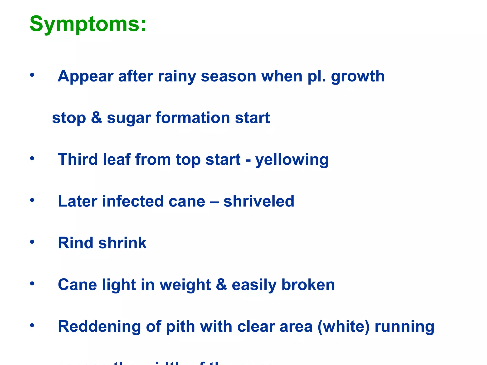 Symptoms:
• Appear after rainy season when pl. growth
stop & sugar formation start
• Third leaf from top start - yellowing
• Later infected cane – shriveled
• Rind shrink
• Cane light in weight & easily broken
• Reddening of pith with clear area (white) running