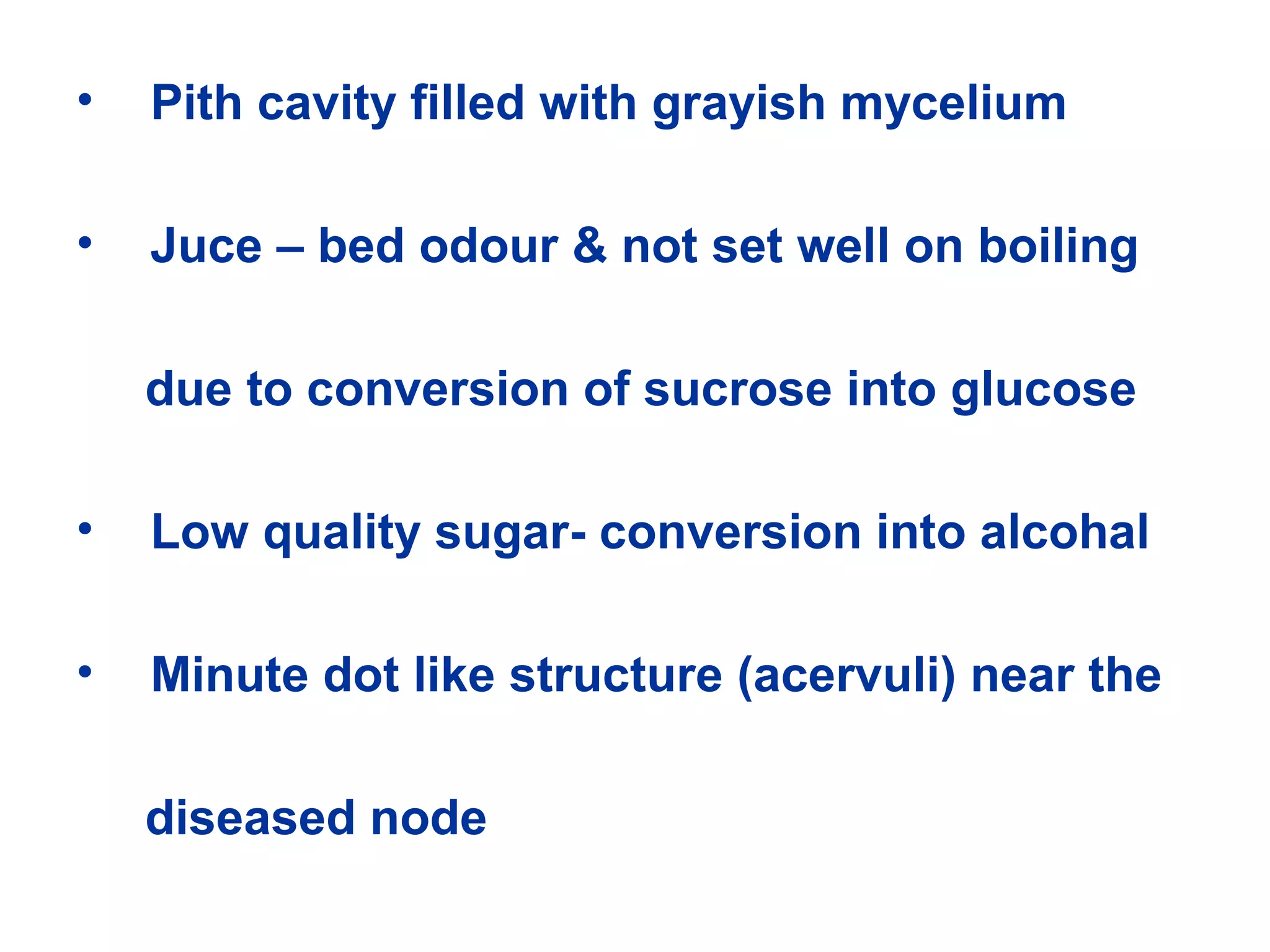 • Pith cavity filled with grayish mycelium
• Juce – bed odour & not set well on boiling
due to conversion of sucrose into glucose
• Low quality sugar- conversion into alcohal
• Minute dot like structure (acervuli) near the
diseased node