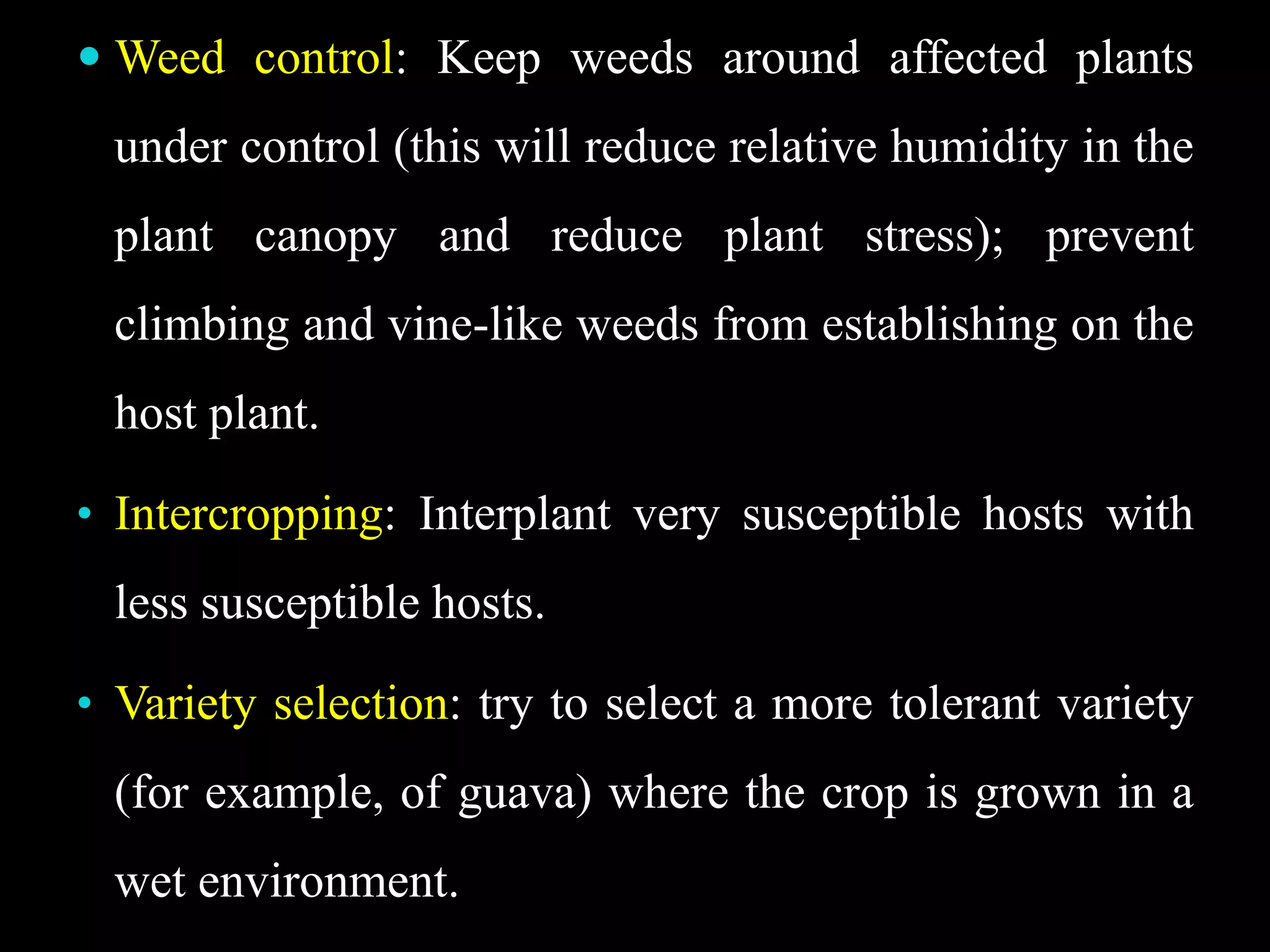  Weed control: Keep weeds around affected plants
under control (this will reduce relative humidity in the
plant canopy and reduce plant stress); prevent
climbing and vine-like weeds from establishing on the
host plant.
• Intercropping: Interplant very susceptible hosts with
less susceptible hosts.
• Variety selection: try to select a more tolerant variety
(for example, of guava) where the crop is grown in a
wet environment.
 