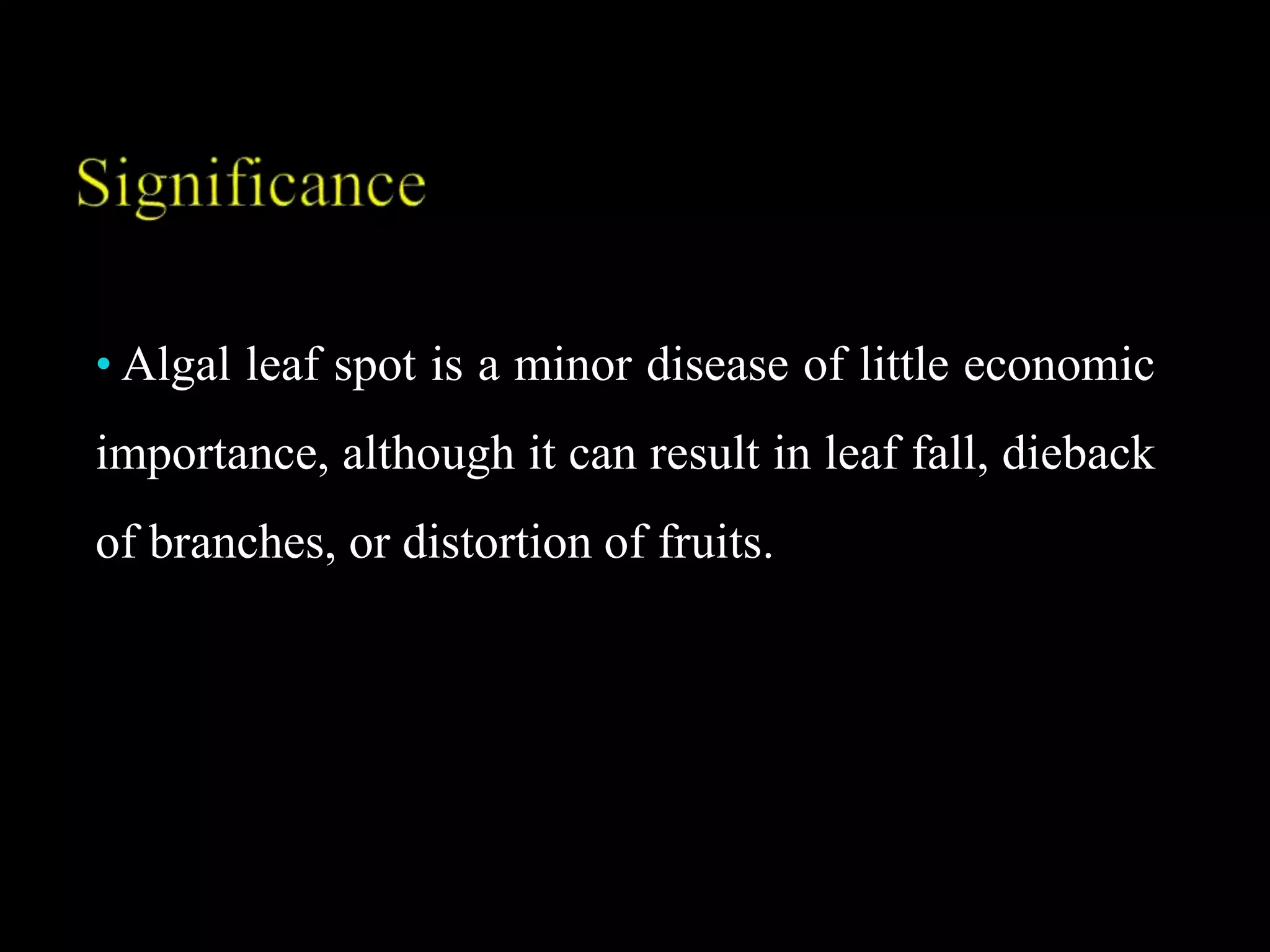 • Algal leaf spot is a minor disease of little economic
importance, although it can result in leaf fall, dieback
of branches, or distortion of fruits.
 