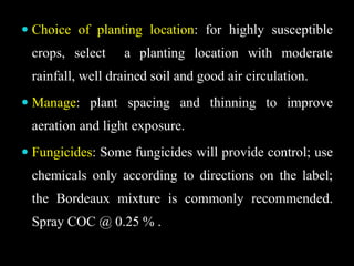  Choice of planting location: for highly susceptible
crops, select a planting location with moderate
rainfall, well drained soil and good air circulation.
 Manage: plant spacing and thinning to improve
aeration and light exposure.
 Fungicides: Some fungicides will provide control; use
chemicals only according to directions on the label;
the Bordeaux mixture is commonly recommended.
Spray COC @ 0.25 % .
 