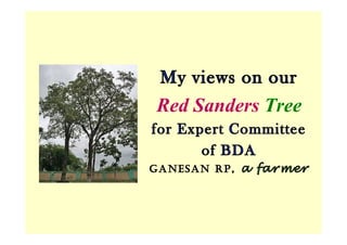 My views on our
Red Sanders Tree
for Expert Committee
of BDA
Ganesan RP, a farmer
My views on our
Red Sanders Tree
for Expert Committee
of BDA
Ganesan RP, a farmer
 