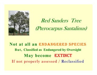 Red Sanders Tree
(Pterocarpus Santalinus)
Not at all an EndangErEd SpEciES
But, Classified as Endangered by Oversight
May become Extinct
If not properly assessed / Reclassified
 