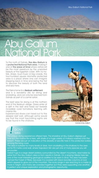 Abu Gallum National Park




Abu Gallum
National Park
To the north of Dahab, Ras Abu Gallum is
a protected National Park area, making it
one of the areas of Sinai where visitors will
be the most awestruck by the unspoiled
beauty of the Egyptian coast. With no ho-
tels, shops, loud music or big crowds, this
four-hundred square kilometre protected
area is a place where one can imagine
stepping back in time and being the first
to discover the beauty of both the land
and sea here.

The Park is home to a Bedouin settlement,
and is a wonderful site for diving and
snorkelling, and can only be reached from
Dahab as part of a camel safari.

The best area for diving is at the northern
end of the Bedouin village. Divers enter at
a split in the reef and head out towards
incredible coral formations teeming with
marine life.
Experienced divers can head out to the
deeper reef wall, although some would
say that the most fascinating sights are
to be found in the shallows.
                                                                            Camel at Abu Gallum



         DON’T
         MISS
 The unique diving experience offered here. The shoreline at Abu Gallum displays just
 how rich the marine life is here, with shells of a huge variety of molluscs washed onto the
 beach. These are just an indication of the diversity of sea-life here in the protected waters
 among the living coral.
 The area is suitable for many levels of diver, from snorkelling in the shallows to the awe-
 some 90-metre coral wall, where Napoleon fish are just one of many species you will
 encounter.
 Gebel Fuga is a large desert plateau surrounded by the desert mountains, reachable by
 safari from the Abu Gallum area or from resorts in Dahab. On a sloping hillside here lies
 one of the most interesting geological oddities to be seen in Sinai. This area has been
 named the Forest of Pillars, because it is covered with black lava-like columns of rock
 which appear to grow out of the mountain. The rocks range in size reaching to a metre or
 more in height, and many are crowded together as if they were supporting one another.
 A perfect and unique exploration and photographic opportunity.
 