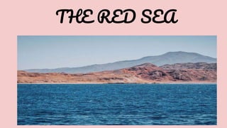 THE RED SEA
 