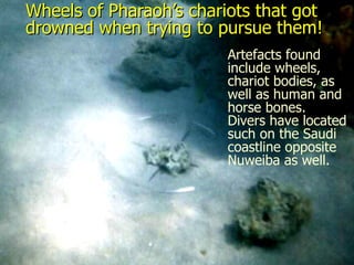 Wheels of Pharaoh’s chariots that got drowned when trying to pursue them!  Artefacts found include wheels, chariot bodies, as well as human and horse bones.  Divers have located such on the Saudi coastline opposite Nuweiba as well. 