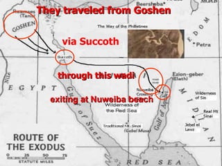 They traveled from Goshen


    via Succoth


   through this wadi

  exiting at Nuweiba beach
 