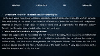 RED SEA University Labor Economics.pptx