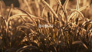 Redshift Renderer Seminar Part1